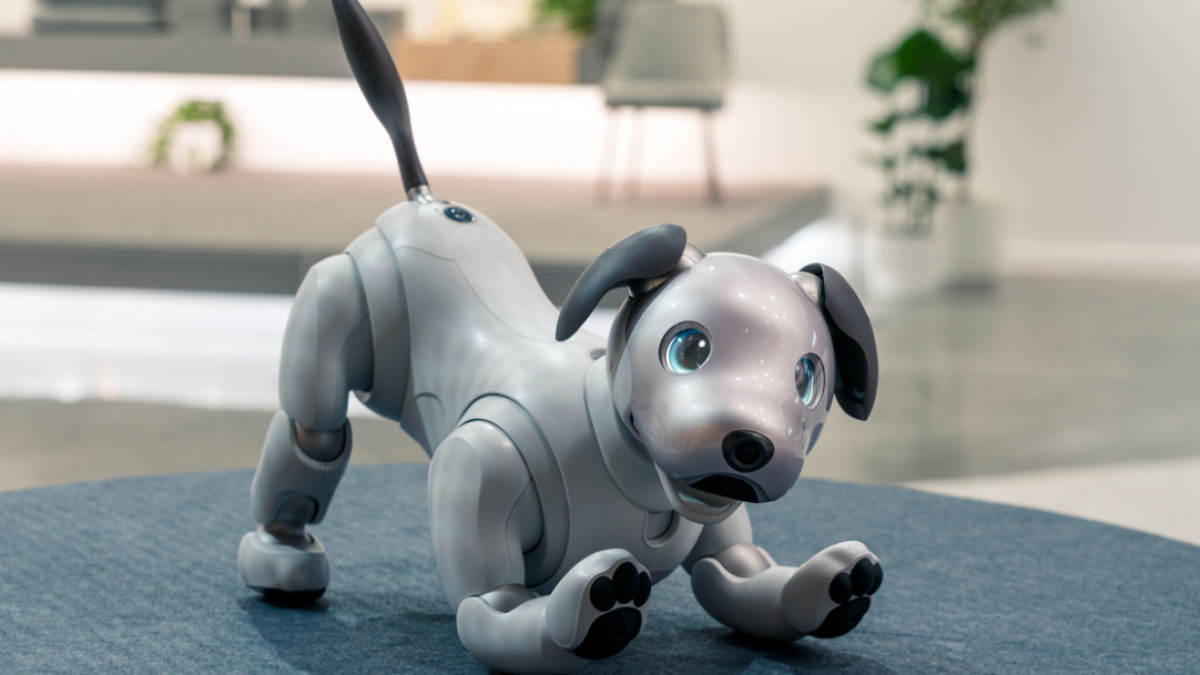 Sony lanza su perro robot Aibo con un precio de 1.500 euros y ya está