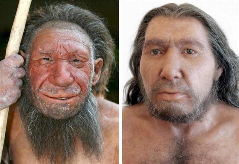 El homo sapiens retroevoluciona: cada vez es más grande, más gordo y ...
